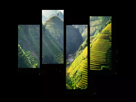 Модульная картина Picsis