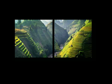 Модульная картина Picsis