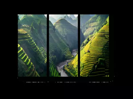 Модульная картина Picsis