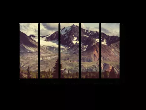 Модульная картина Picsis