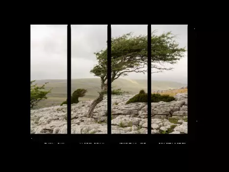 Модульная картина Picsis