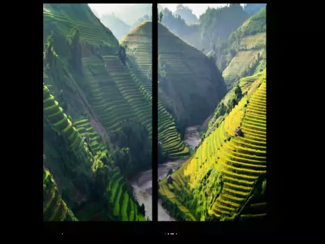 Модульная картина Picsis