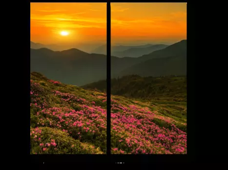 Модульная картина Picsis