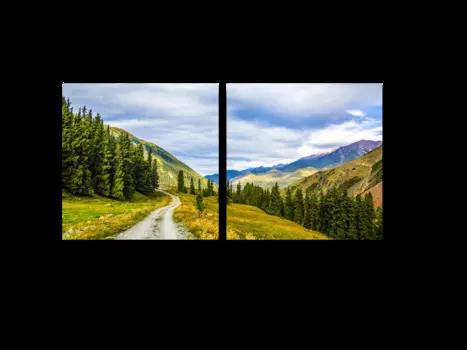 Модульная картина Picsis