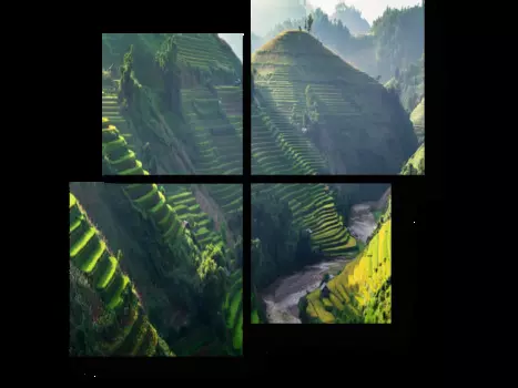 Модульная картина Picsis