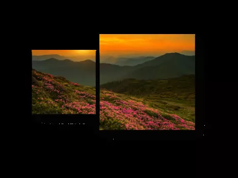 Модульная картина Picsis