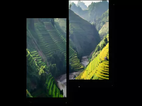 Модульная картина Picsis