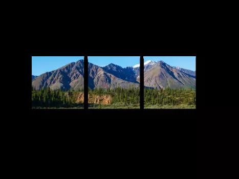 Модульная картина Picsis