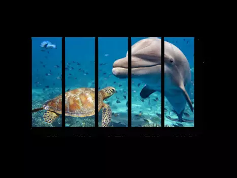 Модульная картина Picsis