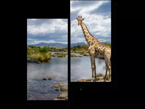 Модульная картина Picsis