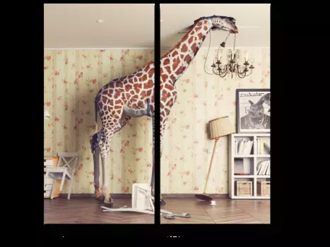 Модульная картина Picsis