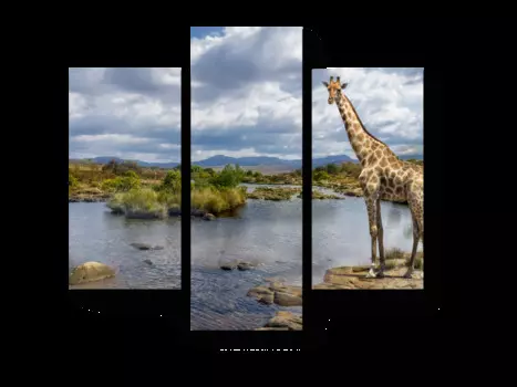 Модульная картина Picsis