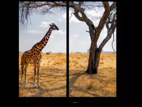 Модульная картина Picsis