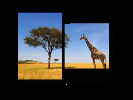 Модульная картина Picsis