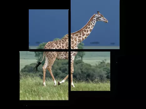 Модульная картина Picsis