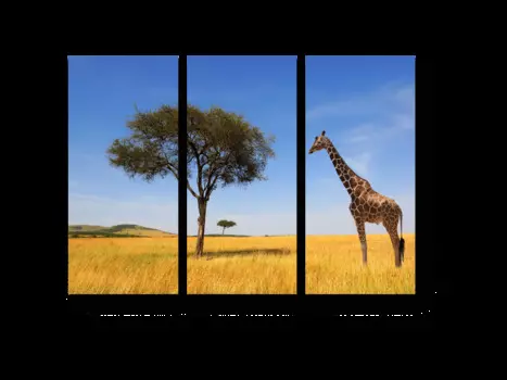 Модульная картина Picsis