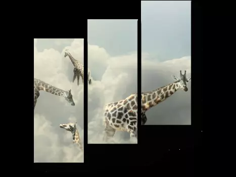 Модульная картина Picsis