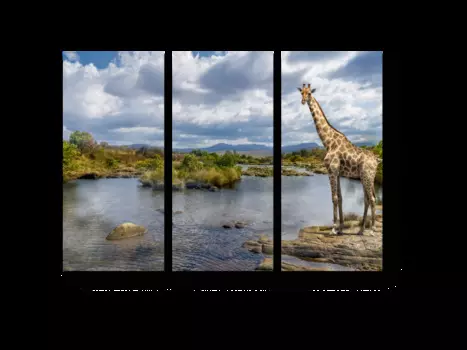 Модульная картина Picsis