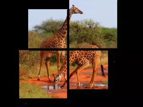 Модульная картина Picsis