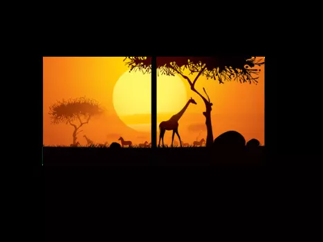 Модульная картина Picsis