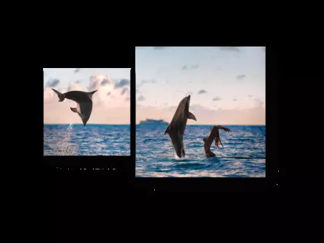 Модульная картина Picsis