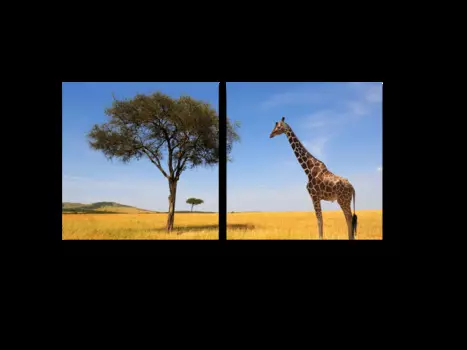 Модульная картина Picsis