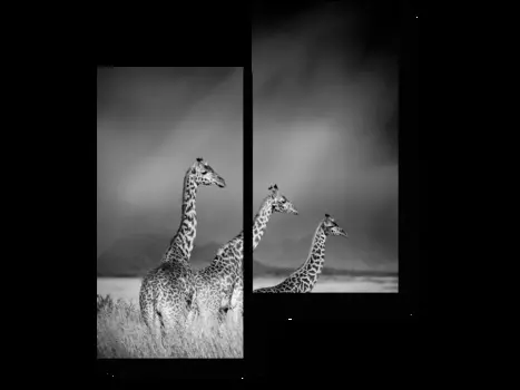 Модульная картина Picsis