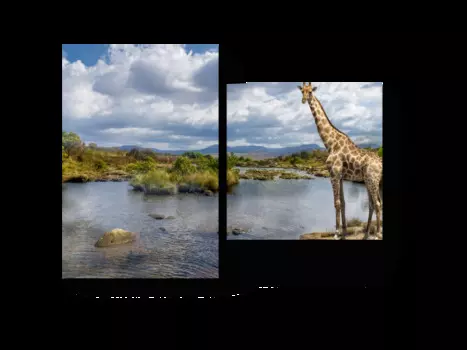 Модульная картина Picsis