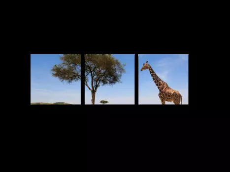 Модульная картина Picsis