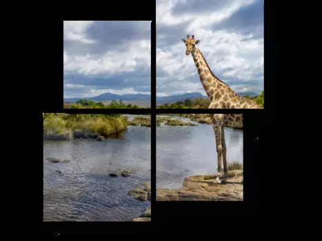 Модульная картина Picsis