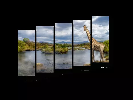 Модульная картина Picsis