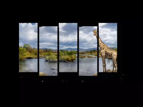 Модульная картина Picsis