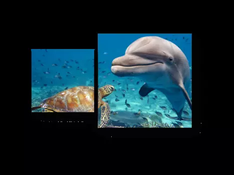 Модульная картина Picsis