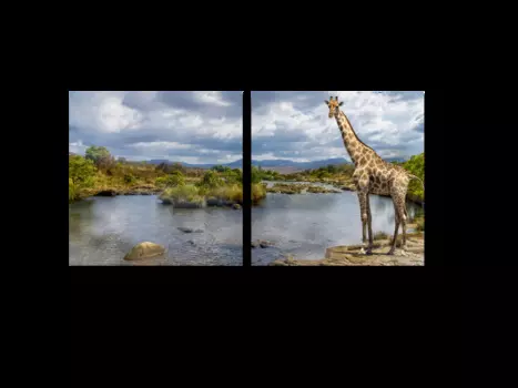 Модульная картина Picsis