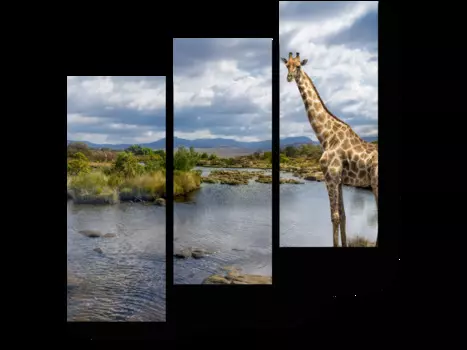 Модульная картина Picsis