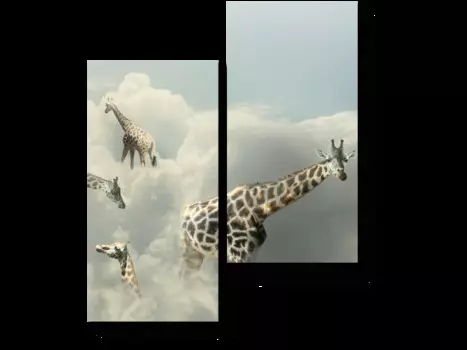 Модульная картина Picsis