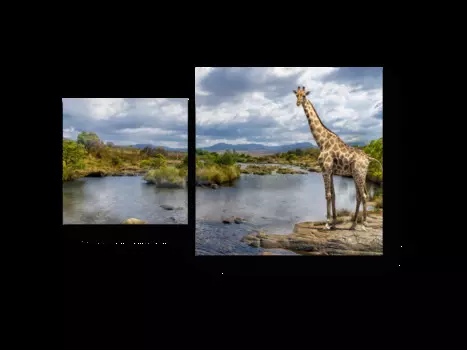 Модульная картина Picsis