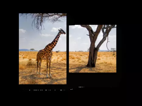 Модульная картина Picsis