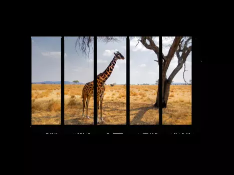 Модульная картина Picsis