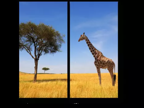 Модульная картина Picsis