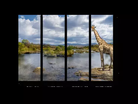 Модульная картина Picsis