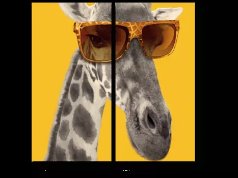 Модульная картина Picsis