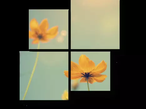 Модульная картина Picsis