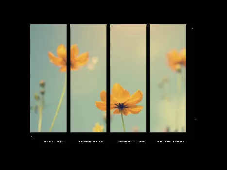 Модульная картина Picsis