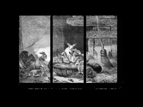 Модульная картина Picsis