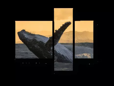 Модульная картина Picsis