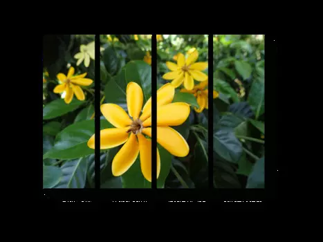 Модульная картина Picsis