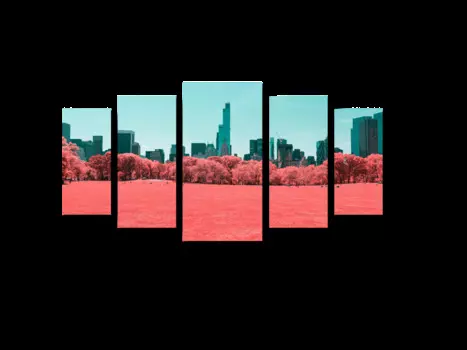 Модульная картина Picsis