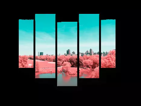 Модульная картина Picsis