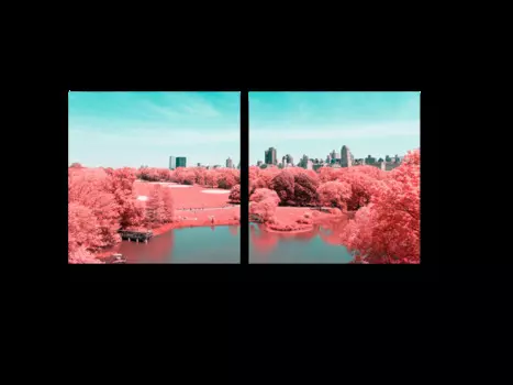 Модульная картина Picsis